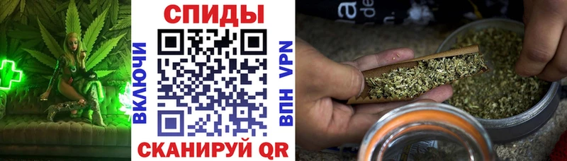 купить  сайты  Сосновоборск  hydra   БУТИРАТ оксана 