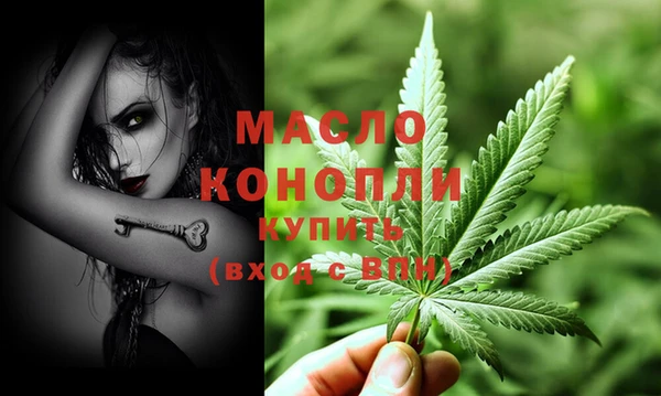 гидра Ельня