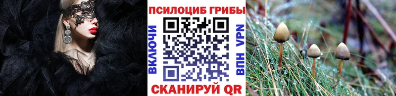 Псилоцибиновые грибы GOLDEN TEACHER  MEGA сайт  даркнет клад  Сосновоборск 