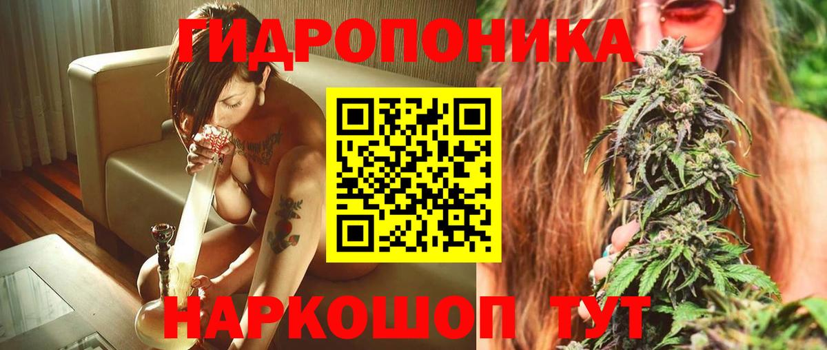 Конопля Amnesia Сосновоборск