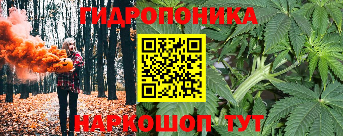 Бошки Шишки гибрид  МАРИХУАНА THC 21%  Вход с VPN  Сосновоборск 